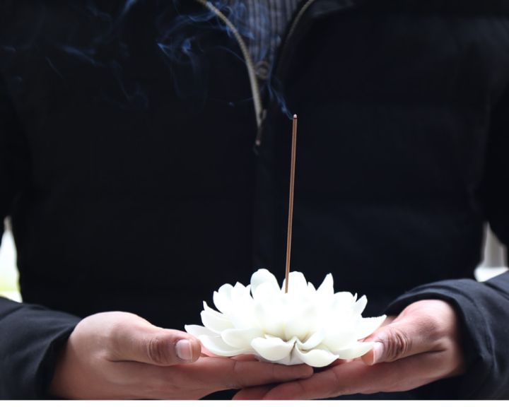 莲花香的寓意和象征（一文了解莲花象征的寓意）