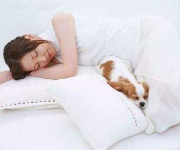 女人梦见蛇代表什么 有什么预示或者征兆