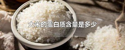 ​大米的蛋白质含量是多少