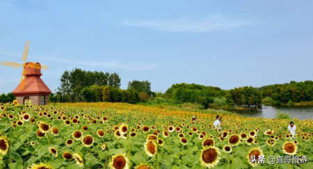浙江绍兴旅游景点(浙江省旅游十大景点)-图3