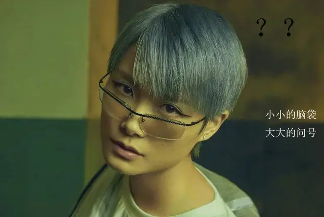 李宇春嫁78岁外国富翁婚礼(李宇春嫁78岁外国富翁婚礼瑶言)-图4