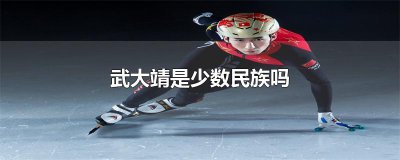​武大靖是少数民族吗