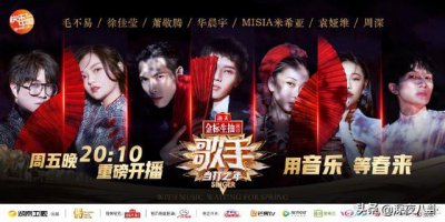 ​华晨宇发微博承认(华晨宇张碧晨微博回应)