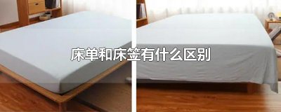 ​床单和床笠有什么区别