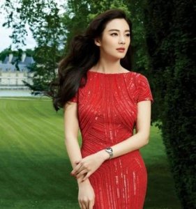 ​张雨绮和哪个明星长得像(张雨绮和宋慧乔长得像)