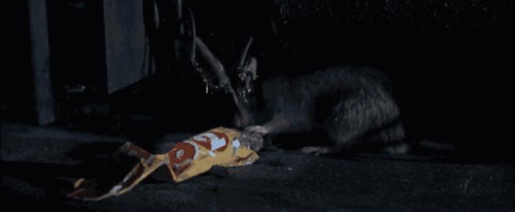 地铁这么复杂为什么不会相撞,上海地铁相撞事故