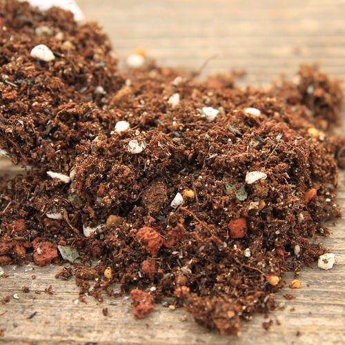 不花钱快速自制多肉土（超简单自制营养土教程）