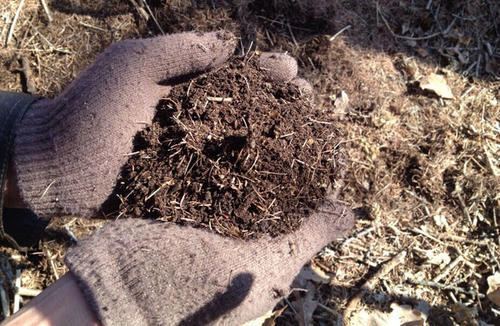 不花钱快速自制多肉土（超简单自制营养土教程）