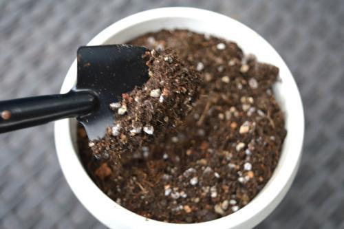 不花钱快速自制多肉土（超简单自制营养土教程）