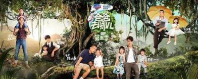 ​爸爸去哪儿为什么不播了(爸爸去哪停播原因)