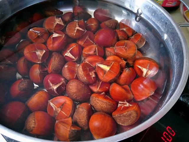 水煮板栗的正确做法需要煮多久（水煮板栗的正宗做法）