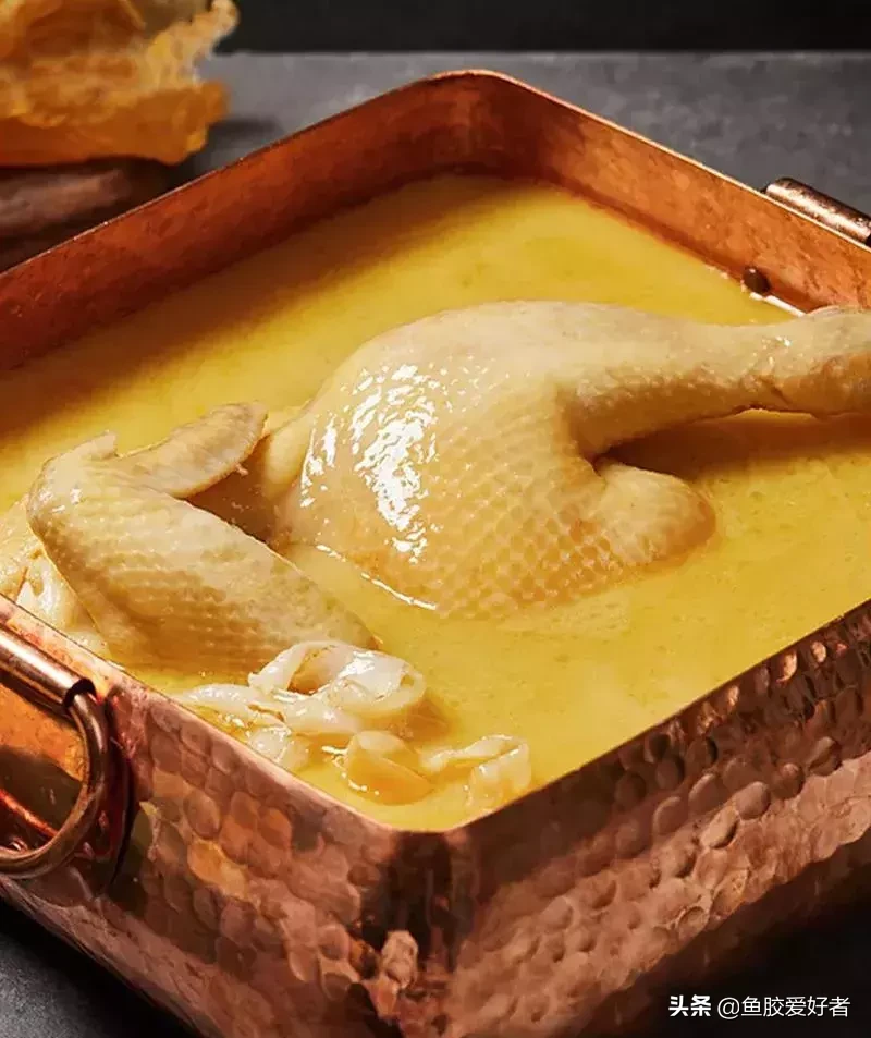 花胶鸡里的花胶是什么东西(新晋网红美食花胶鸡)