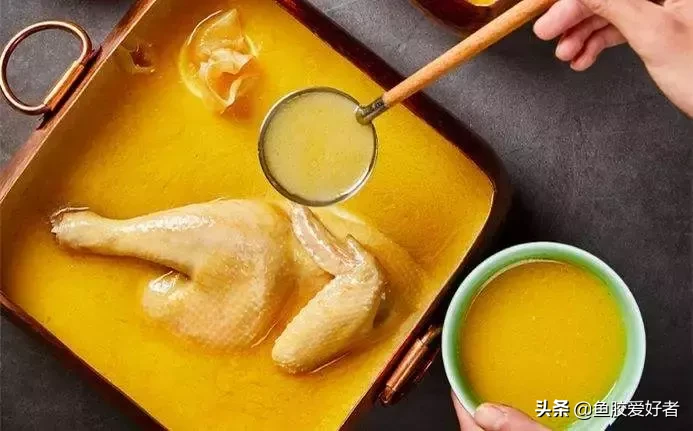 花胶鸡里的花胶是什么东西(新晋网红美食花胶鸡)