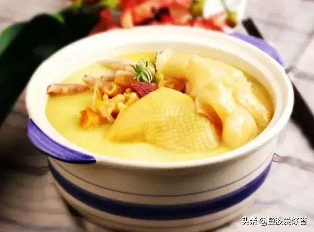 花胶鸡里的花胶是什么东西(新晋网红美食花胶鸡)