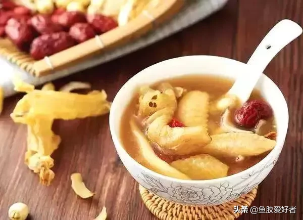 花胶鸡里的花胶是什么东西(新晋网红美食花胶鸡)