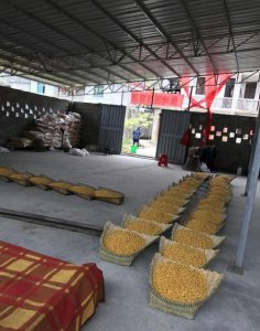 ​白酒哪种酿造法好(白酒有几种酿造方法)