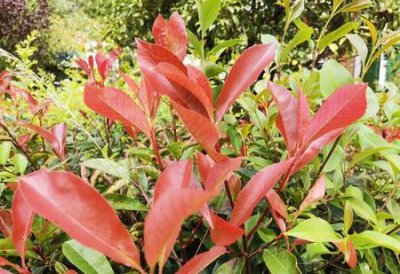 ​你捡了10万块,失主却说少3万,怎么应付?