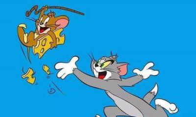 ​猫和老鼠为什么好看(猫和老鼠为什么这么经典)