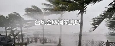 ​台风会取消航班吗