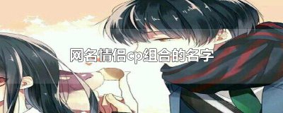 ​网名情侣cp组合的名字