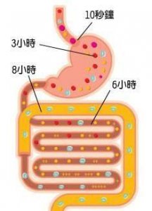 ​怎样能排出宿便最快(最快排宿便方法)