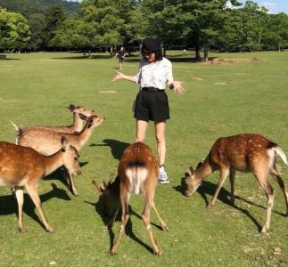 ​天王老婆刘嘉玲晒短裤露美腿，网友：这哪像50多岁，明明才18呀