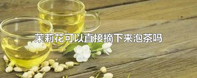 ​茉莉花可以直接摘下来泡茶吗