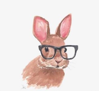 ​给女朋友讲的暖心睡前小故事(女朋友睡前故事暖心长篇)