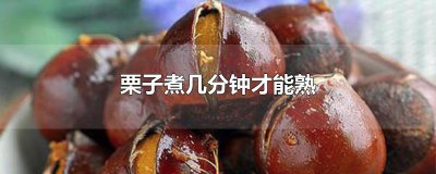 ​栗子煮几分钟才能熟