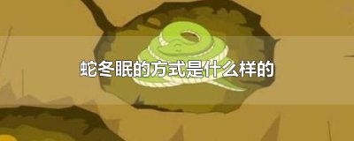 ​蛇冬眠的方式是什么样的