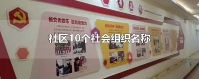 ​社区10个社会组织名称