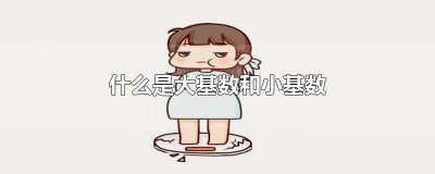 ​什么是大基数和小基数