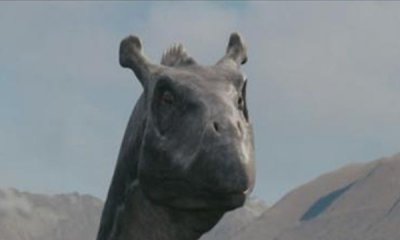 ​湖光岩水怪之谜-多名目击者宣称见到湖光岩水怪