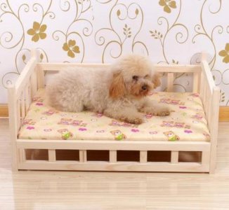 ​狗狗为什么在床上打滚(狗狗喜欢在地上打滚是什么原因)