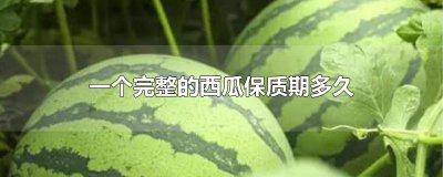 ​一个完整的西瓜保质期多久