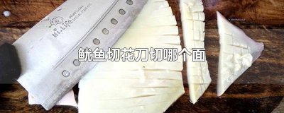 ​鱿鱼切花刀切哪个面