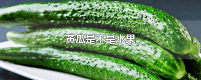 ​黄瓜是不是水果
