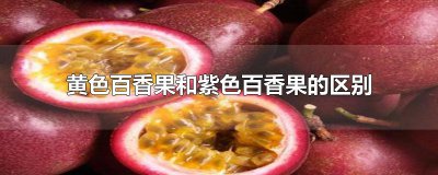 ​黄色百香果和紫色百香果的区别 在外观、水份、甜度方面有区别。成熟后的黄金百