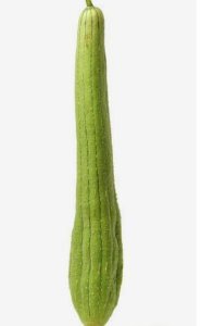 ​怎样使丝瓜苗长得粗壮