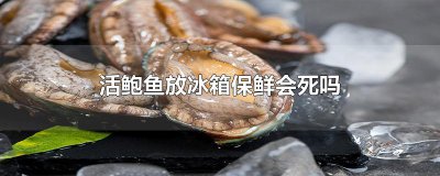 ​活鲍鱼放冰箱保鲜会死吗