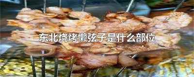 ​东北烧烤懒弦子是什么部位