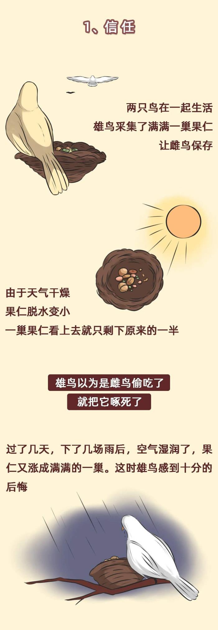 经营婚姻的方法与技巧（好的婚姻是如何经营的）