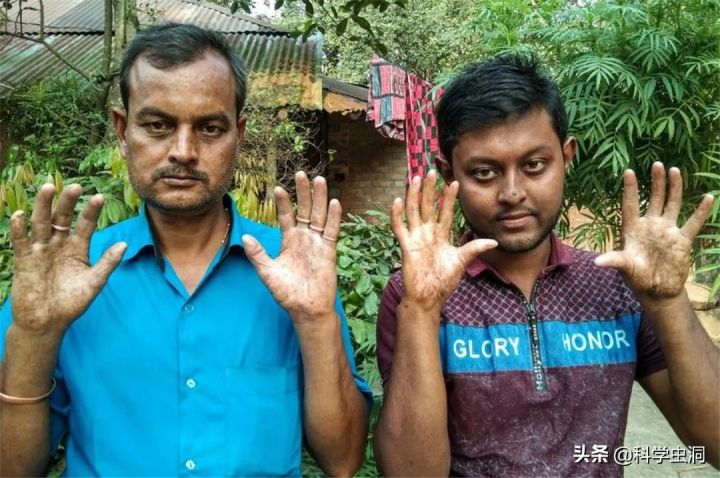 斗和簸箕的区别图片（科学家解锁斗与簸箕的奥秘）