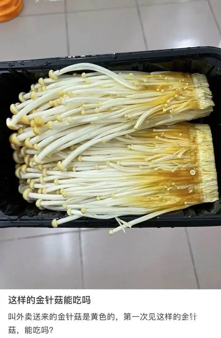金针菇和银针菇的区别是什么（金针菇和银针菇的不同点）