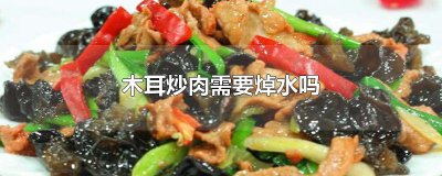 ​木耳炒肉需要焯水吗