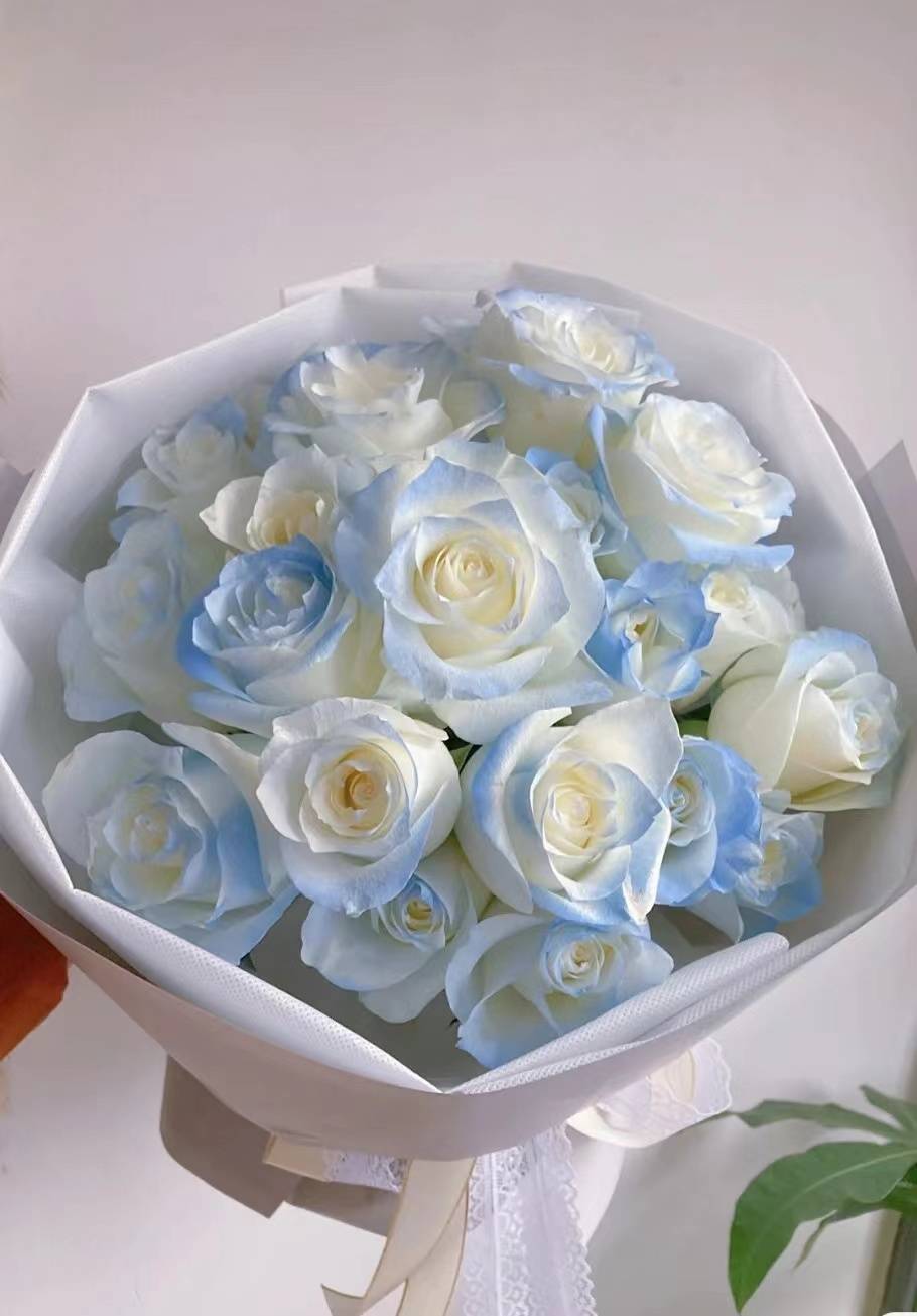 爱莎玫瑰花语是什么（直男送花避坑指南来袭）