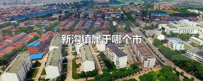 ​新沟镇属于哪个市