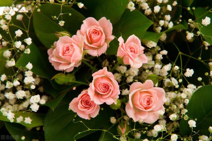 感情终究败给了金钱（最终败给了金钱）