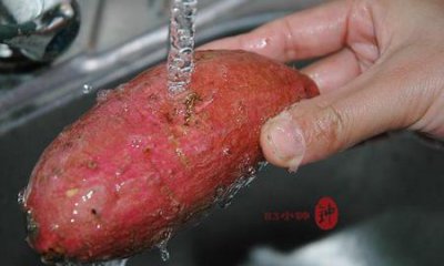 ​地瓜和红薯有什么区别吗(红薯和地瓜的区别是什么)