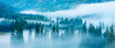 ​上甘岭在哪里